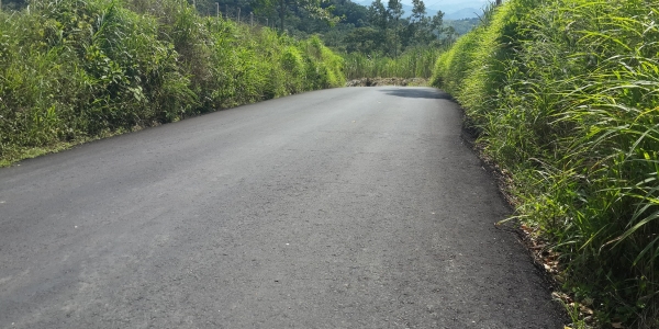 Carretera vacía que serpentea entre colinas verdes bajo un sol brillante