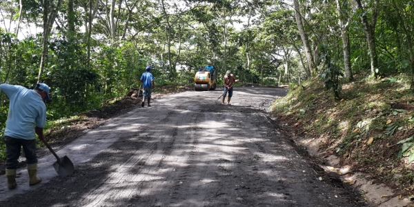 Camino de tierra bordeado de árboles siendo compactado por una máquina, trabajadores en día soleado